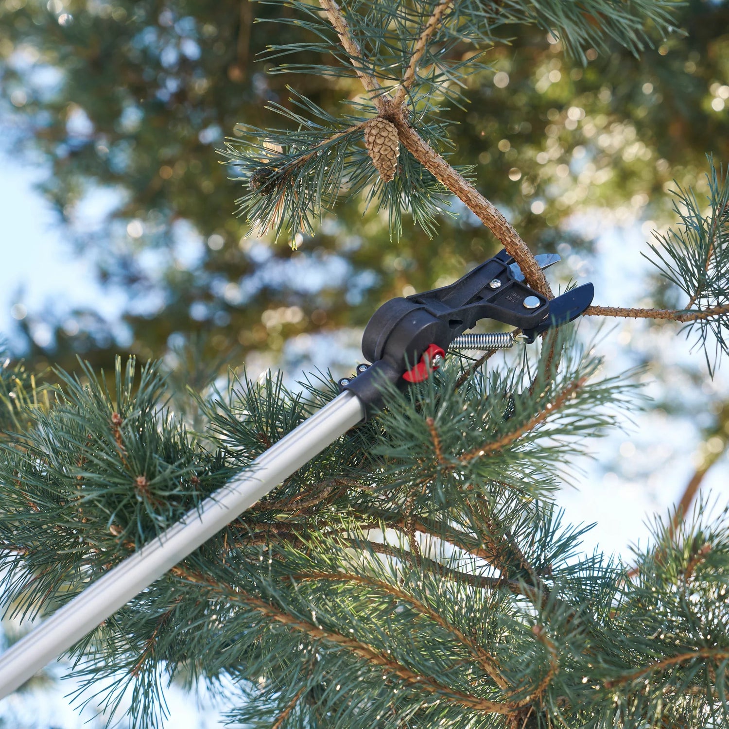 FELCO 290 Coupe branches télescopique Vitiwald