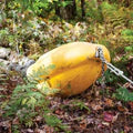 CÔNE DE DÉBUSQUAGE POUR BILLOTS Vitiwald