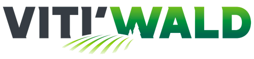 Vitiwald