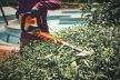 Taille-haie HSA 140 T sans batterie ni chargeur - STIHL Vitiwald