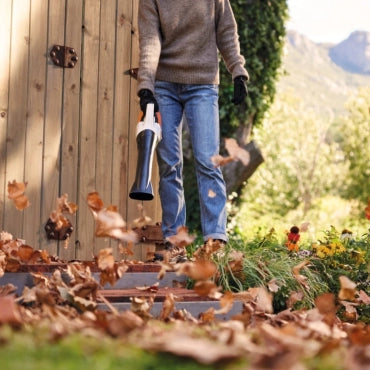 Souffleur à batterie STIHL BGA 30 pack 2 batteries Vitiwald