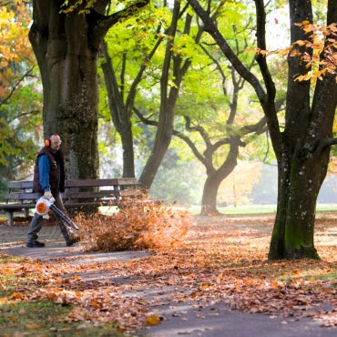 Souffleur de feuilles thermique STIHL BG 86 Vitiwald
