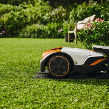 Robot Tondeuse STIHL iMOW® 6 Vitiwald